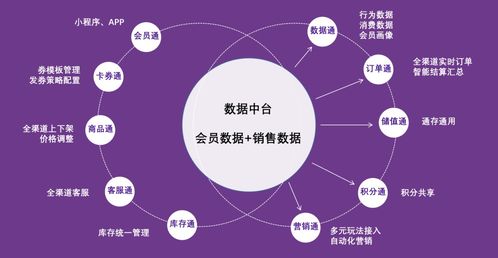 紫日软件导购通3.0 直连消费者，驱动销量暴涨的智能销售解决方案